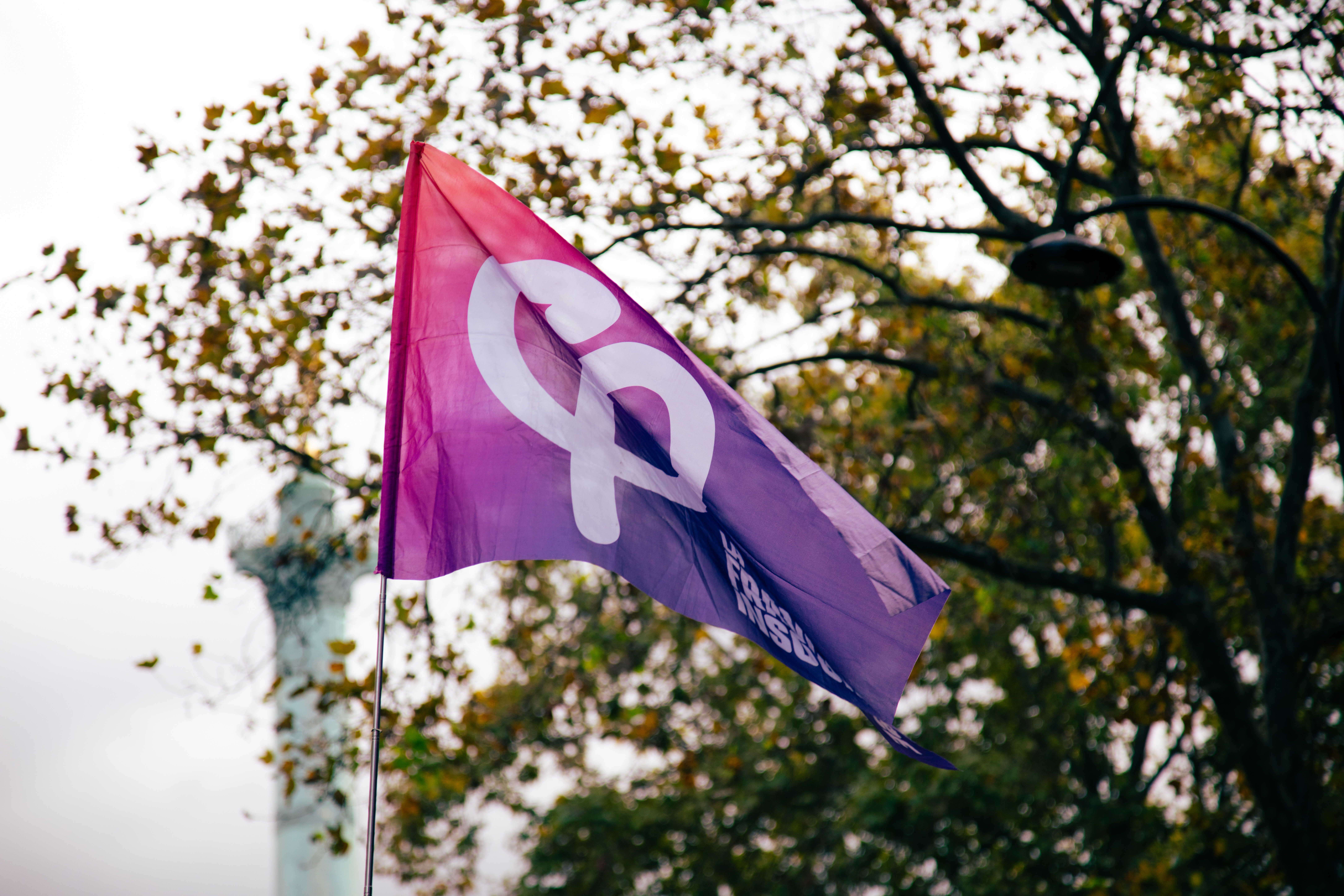 Manifestation contre la loi "Permis de Tuer XXL" — Paris, 2026
