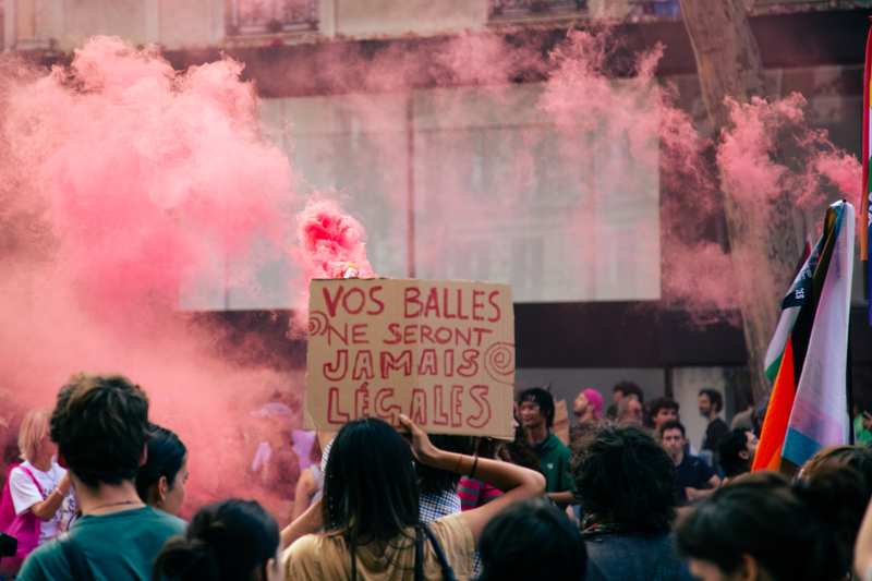 Manifestation contre la loi "Permis de Tuer XXL" — Paris, 2026